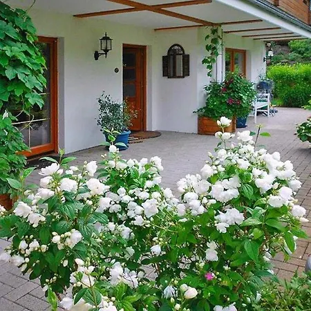 Apartment,